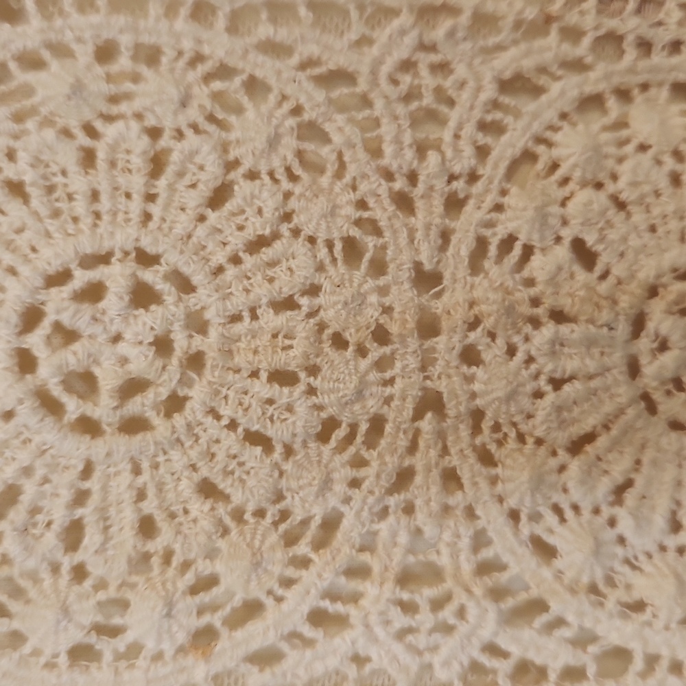 Dressbarn Women's Champagne Embroidered Floral Lace Blouse Size S - Picture 9 of 16